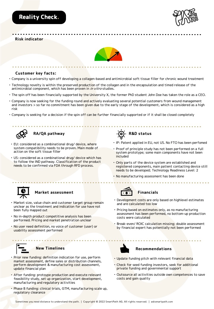 A generic preview of a one-page document summarizing the Reality check